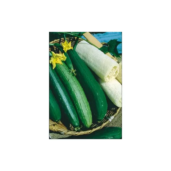 Gourds, Luffa - 1/2oz