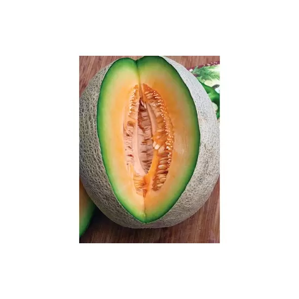 Cantaloupe , Edisto 47 - 1/2lb