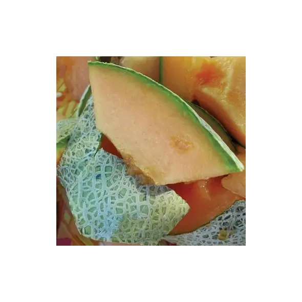 Cantaloupe , Rocky Ford Green Flesh - 1/2oz