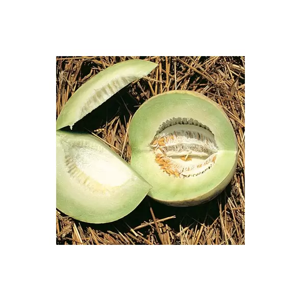 Cantaloupe , Honeydew - 1/2oz
