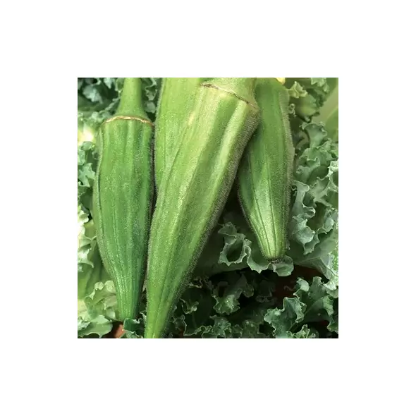 Okra, Long Pod Green - 1lb