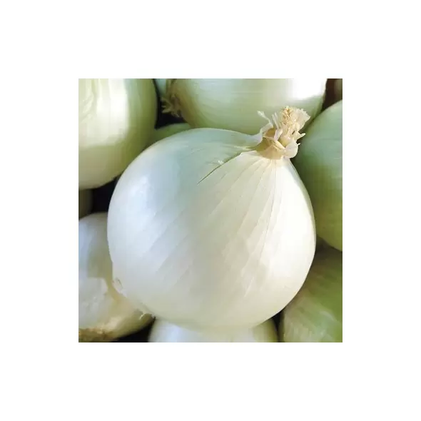 Onion, White Sweet Spanish - 1/2oz