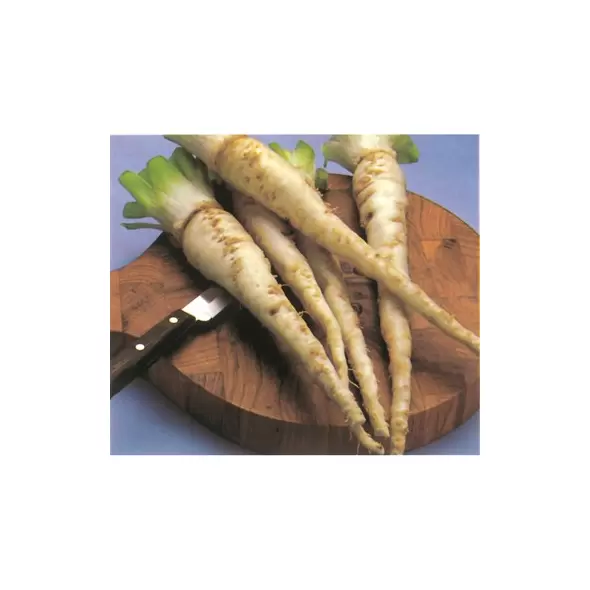 Salsify, Mammoth Island - 1/2oz