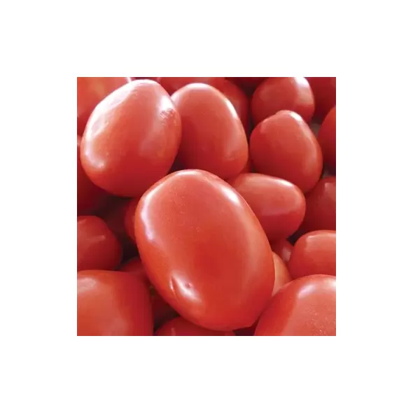 Tomato, Roma - 1/4oz