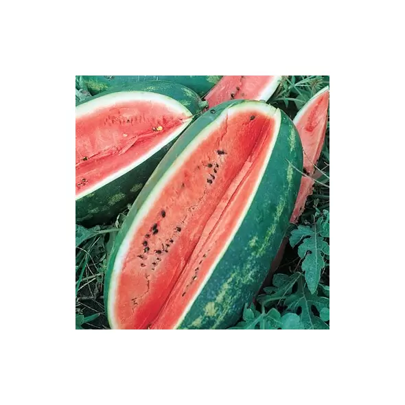 Watermelon, Florida Giant - 1/2lb