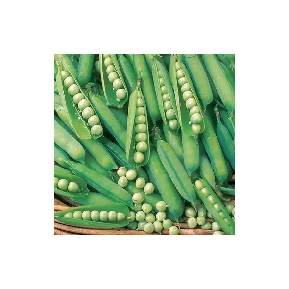 Peas, Knight Treated - 25lb