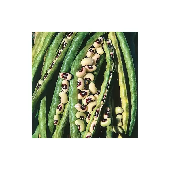 Cowpeas, California Blackeye - 25lb