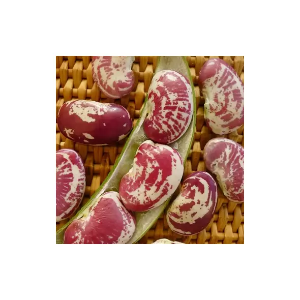 Limas, Large Red Speckled Pole - 25lb