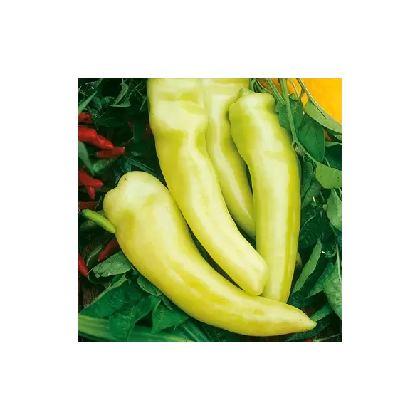 PEPPERS, SWEET BANANA 1
