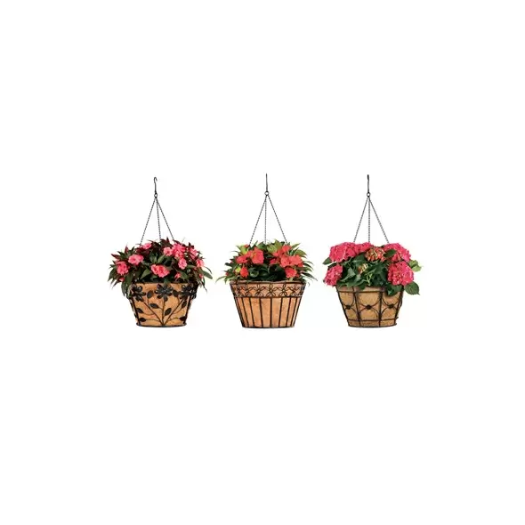 Deer Park Blk Hanging Basket Variety Pk 2 Floral Daisy Ribbon Arch