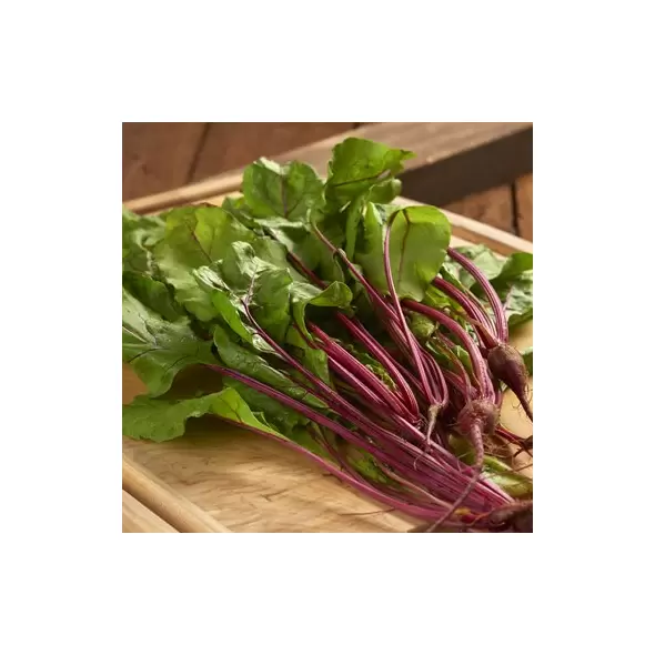 Beets, Bull'S Blood - 1/2oz