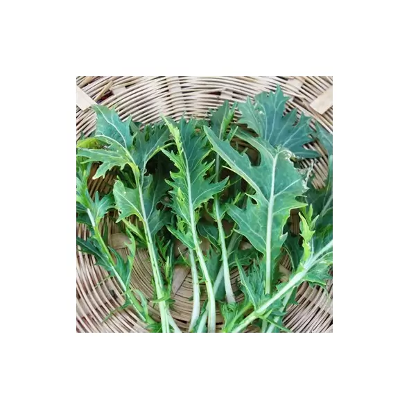 Mustard, Mizuna - 1/2oz