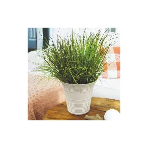 HC 7" Sedona Planter Cottage Stone