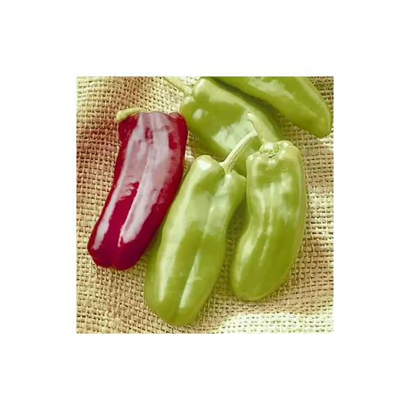 Peppers, Giant Marconi Treated - 100 Seed Count