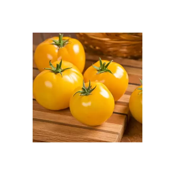 Tomato, Lemon Boy Hybrid Treated - 100 Seed Count