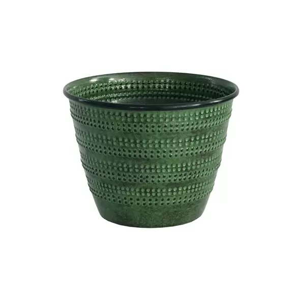 Robert Allen 6" Cobblestone Planter Kale