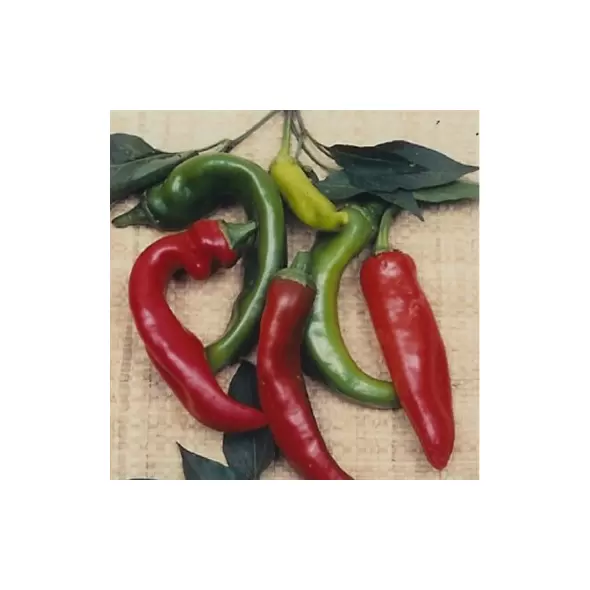 Peppers, Anaheim Chile - 10,000 Seed Count