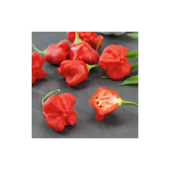 Peppers, Jamaican Red - 1,000 Seed Count