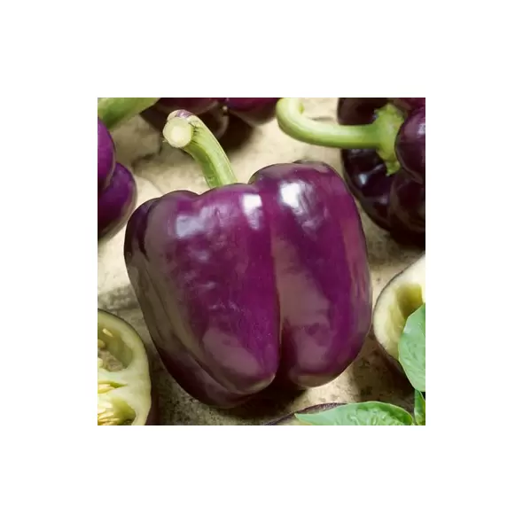 Peppers, Purple Beauty - 1,000 Seed Count