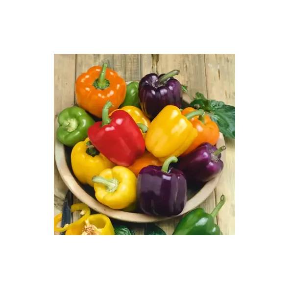 Peppers, Rainbow Bell Blend - 100 Seed Count
