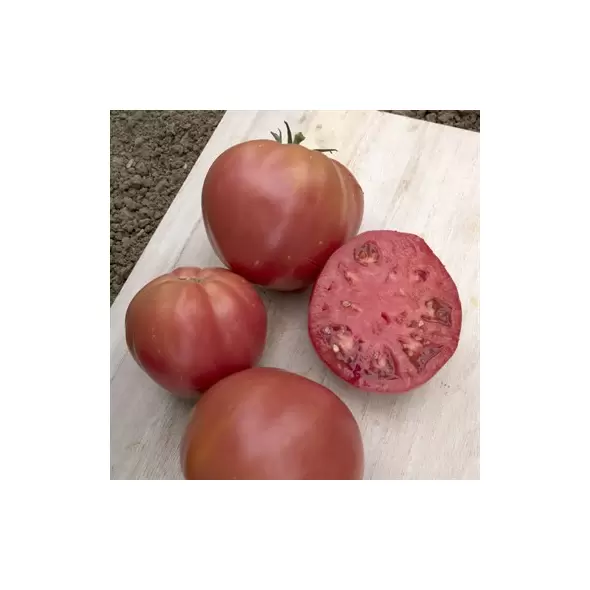 Tomato, Brandywine Pink Potato Leaf - 1,000 Seed Count