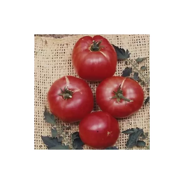 Tomato, German Johnson - 1,000 Seed Count