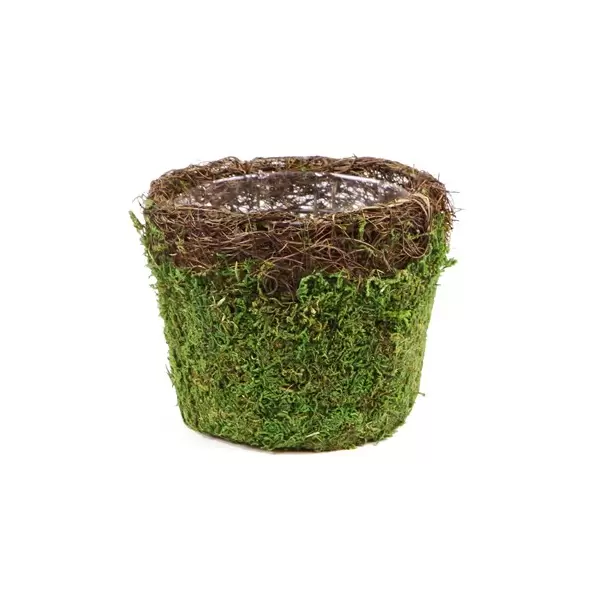 SuperMoss Med Deco Basket Vineyard Fresh Green