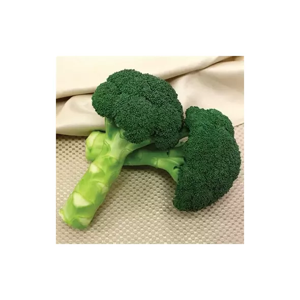 Broccoli, Green Magic - 1,000 Seed Count