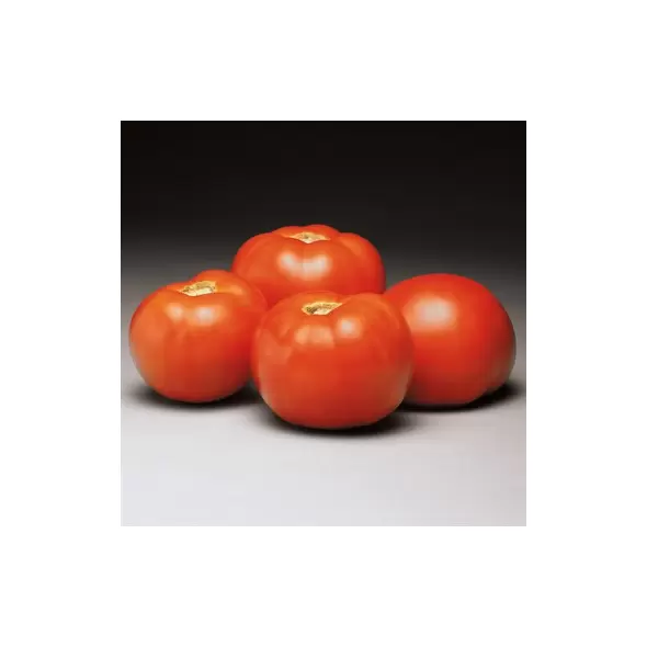 Tomato, Better Bush - 1,000 Seed Count
