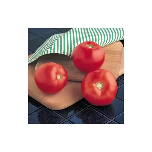 Tomato, Mountain Spring Hybrid - 1,000 Seed Count