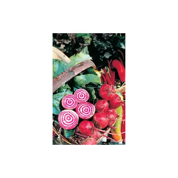 Beets, Chiogga 1/2 oz