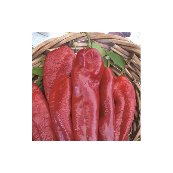 Peppers, Bhut Jolokia - 500 Seed Count