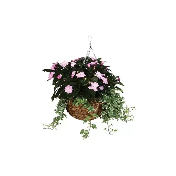 WSP 14" Rustic Rattan Hanging Basket