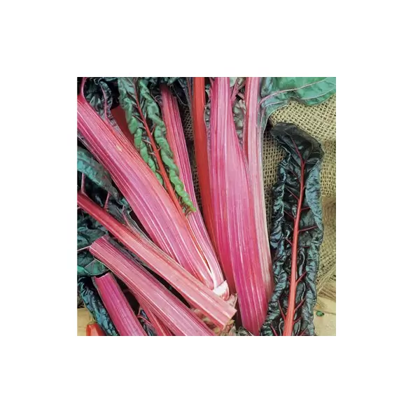 Swiss Chard, Ruby Red - 1,000 Seed Count