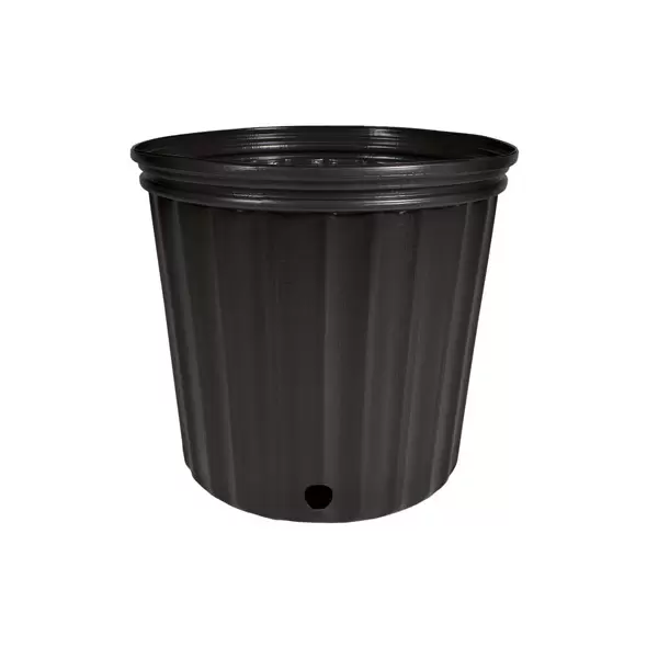 HC Dillen 3G 1000 Reg Nursery Pot BK, Blow Molded, Trade 3 Gallon, Black, 50 per Bundle, 88 Bundles per Pallet, 10.00in x 9.00in, 2.33Gal, 3Gallon