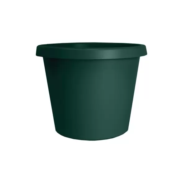 HC 14" Prima Planter Evergreen
