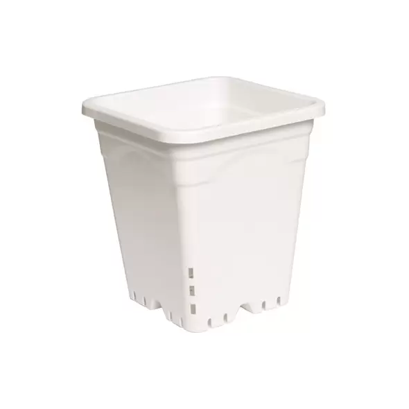 HDF 9"X9" Square White Pot 10" Tall