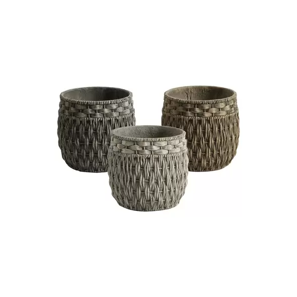 MCarr 48pc Seagrass Planter Pallet Mixed