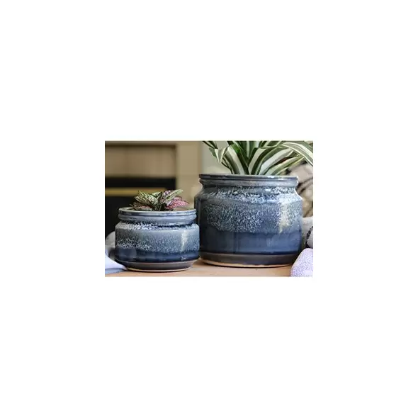 Jewel 4.5" Self Watering Pot Bts