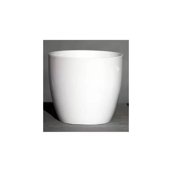 Palm Spring 7.5" Pc Lily Cache GWH