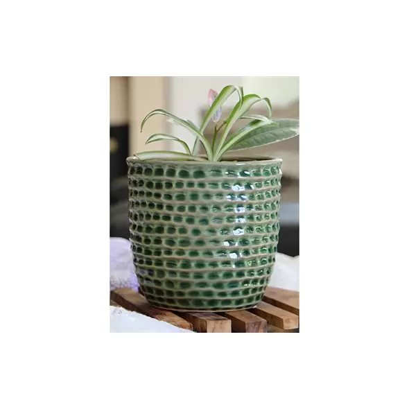 Palm Spring 6.5" Honey Comb Planter Emr