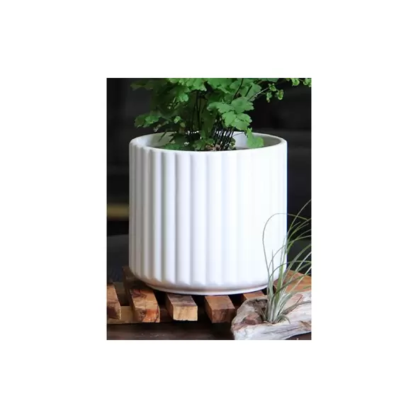 Palm Spring 8" Brush Comb Planter Mwh