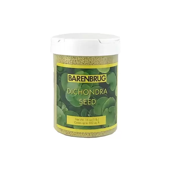 Barenbrug 1