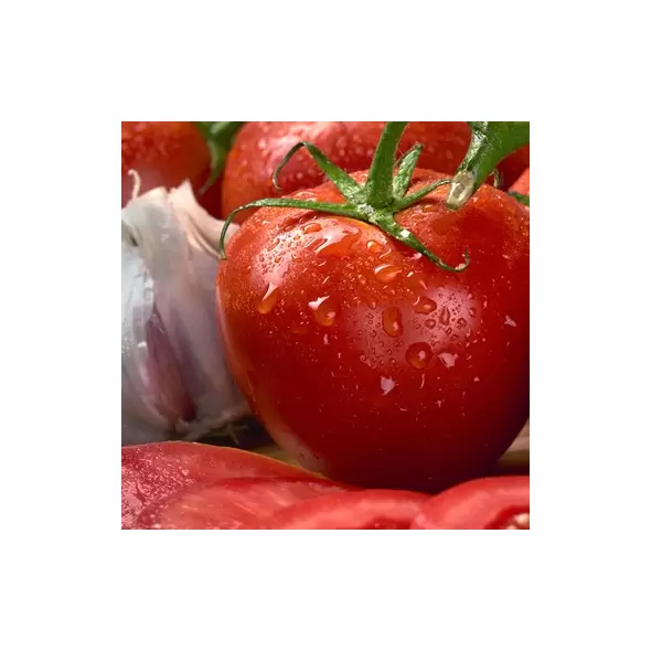 Tomato, Homestead - 5,000 Seed Count