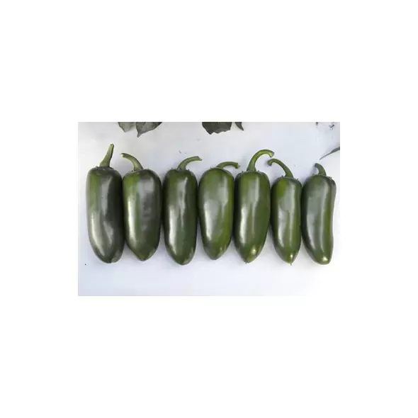 Peppers, Emerald Fire - 1,000 Seed Count