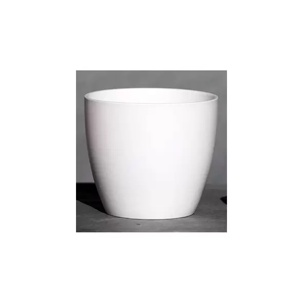 Palm Spring 6.5" Pc Lily Cache MWH
