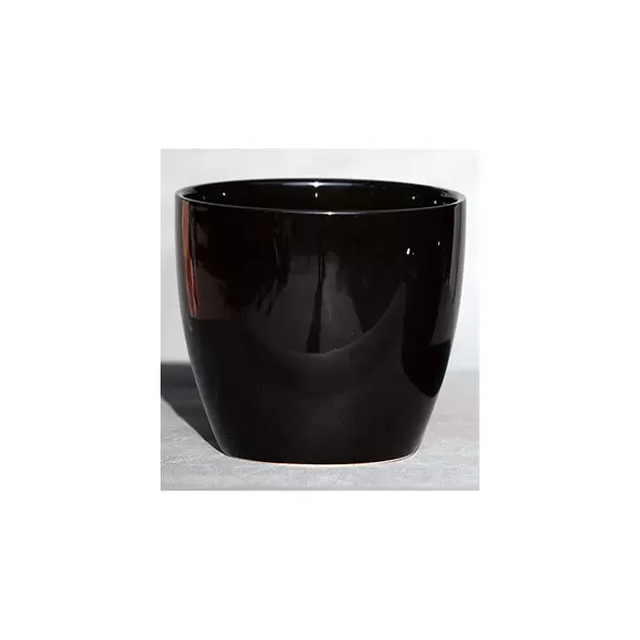 Palm Spring 10" Pc Lily Cache GBK
