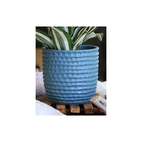 Palm Spring 5.5" Honey Comb Planter Lbl