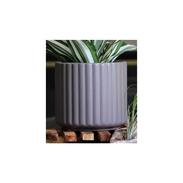 Palm Spring 6.5" Brush Comb Sgy Planter