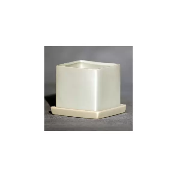 Palm Spring 4.5" Cube Pot with Ds Mlg